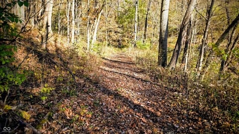 Photo of 8273 E State Road 56, Madison, IN