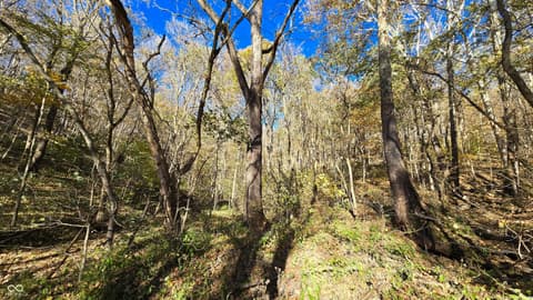 Photo of 8273 E State Road 56, Madison, IN