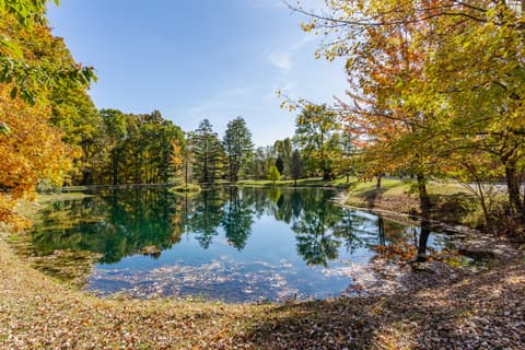 Pond — 2034 Dubois Road, Spencer, IN