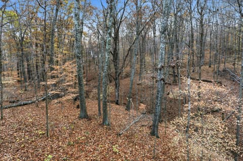 Photo of 8851 S Peoga Road, Trafalgar, IN