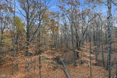Photo of 8851 S Peoga Road, Trafalgar, IN