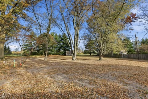Yard at 1836 W Main Street, Carmel, IN — Expansive wooded acreage with mature trees and privacy.