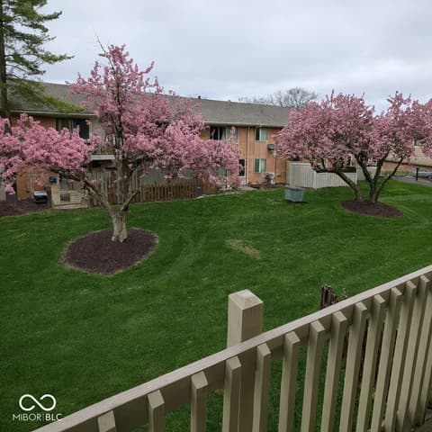 Backyard at 586 Hunters Drive, Carmel, IN