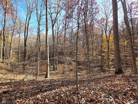 Photo of 4763 N Nature Hills Lane, Martinsville, IN