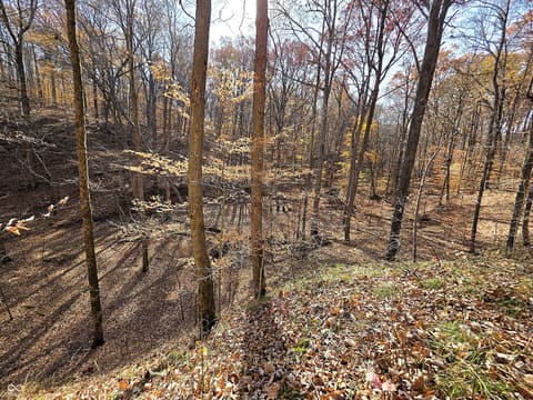 Photo of 4763 N Nature Hills Lane, Martinsville, IN