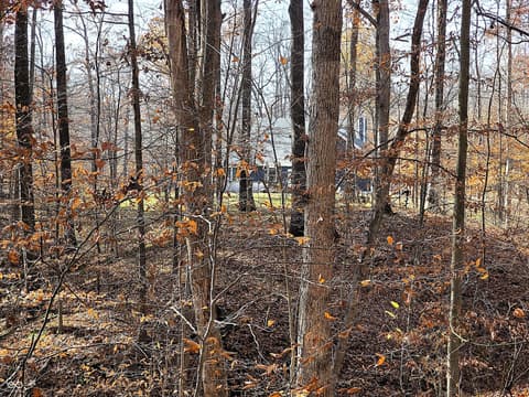 Photo of 4763 N Nature Hills Lane, Martinsville, IN