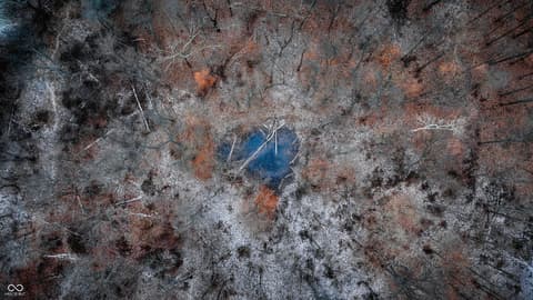 Photo of 7000 S Us Highway 231, Freedom, IN