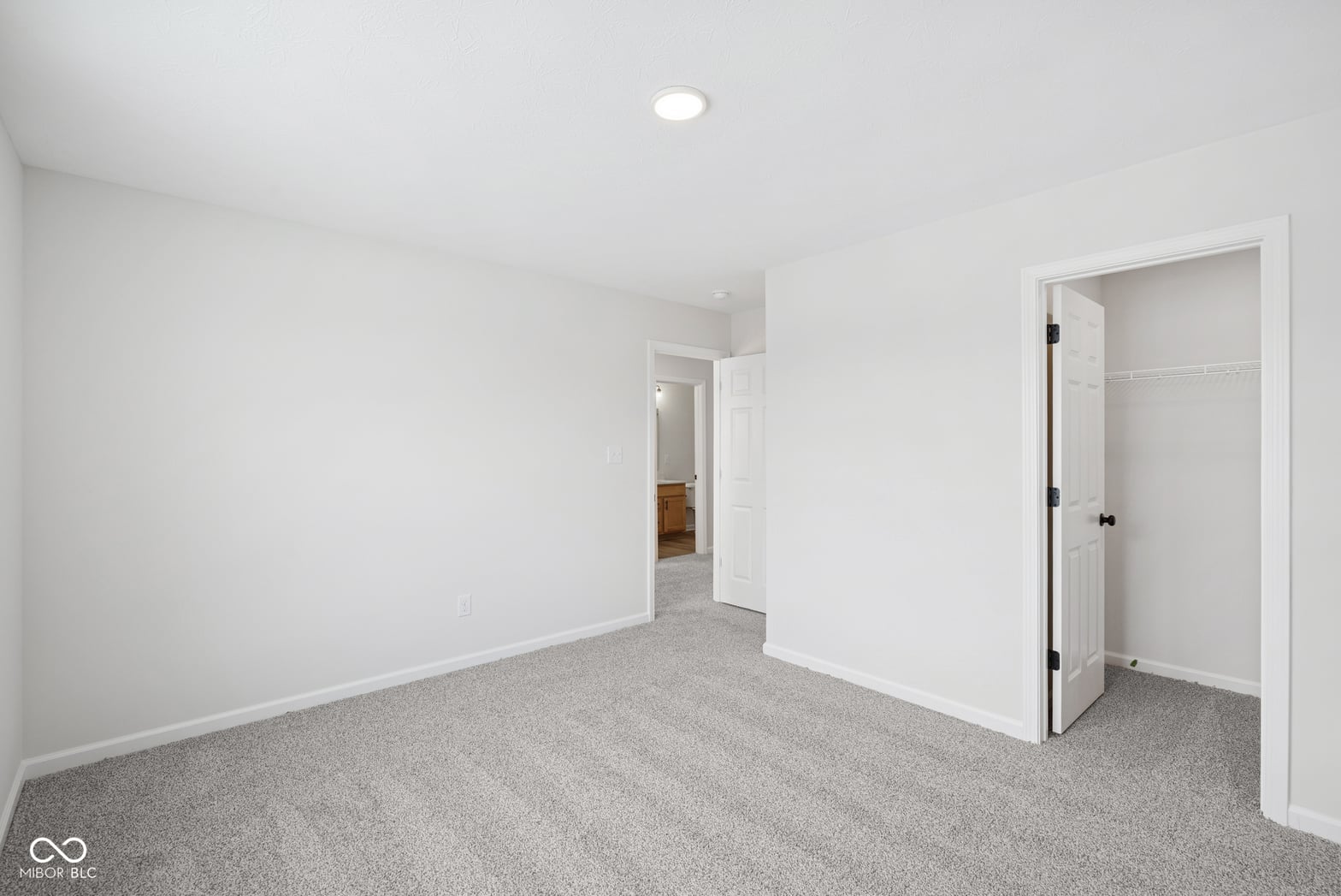 Spacious primary bedroom with walk-in closet.