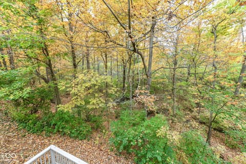 Aerial view at 9735 Trevia Drive, Indianapolis, IN