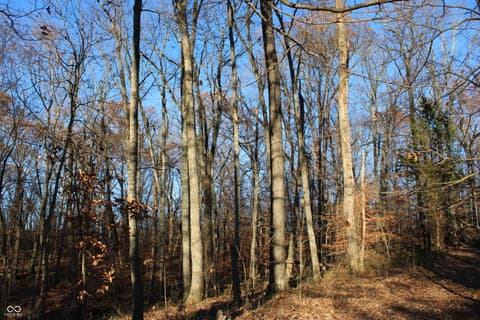 Photo of 3403 N Lino Lane, Scottsburg, IN
