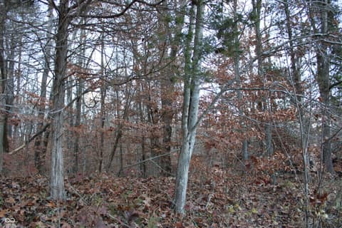 Photo of 3403 N Lino Lane, Scottsburg, IN