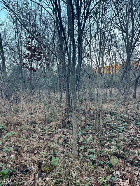 Photo of 3403 N Lino Lane, Scottsburg, IN