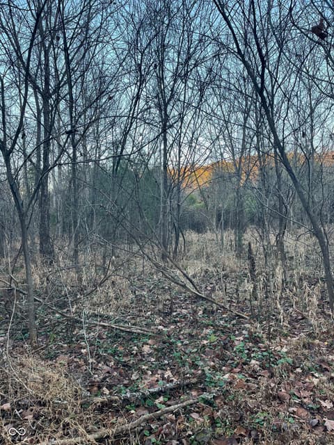 Photo of 3403 N Lino Lane, Scottsburg, IN