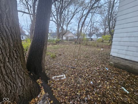 Yard at 1520 1st Avenue, Terre Haute, IN