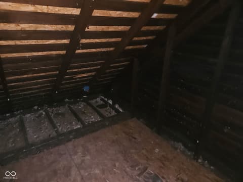 Attic — 1520 1st Avenue, Terre Haute, IN