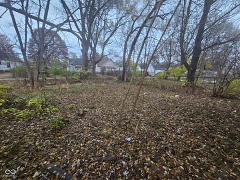 Yard at 1520 1st Avenue, Terre Haute, IN
