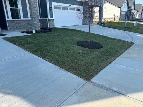 Yard at 317 Onset Way, Westfield, IN