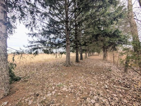 Photo of 5599 N State Road 9, Hope, IN