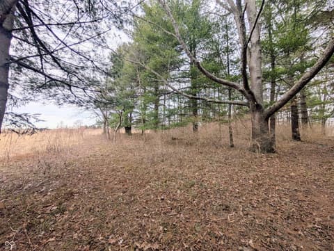 Photo of 5599 N State Road 9, Hope, IN