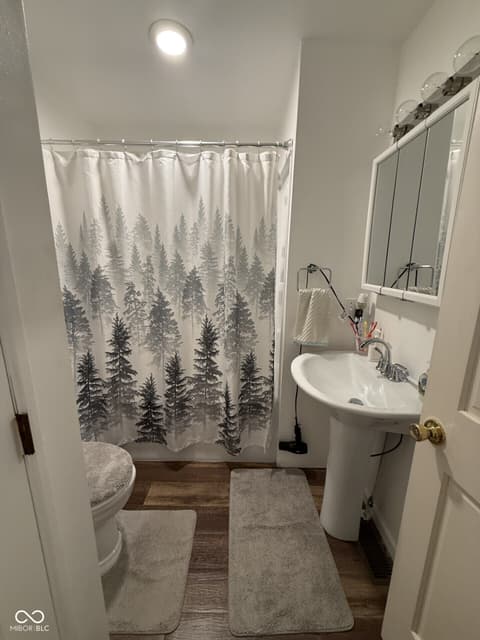 Bathroom at 2154 Hornettown Road, Morgantown, IN