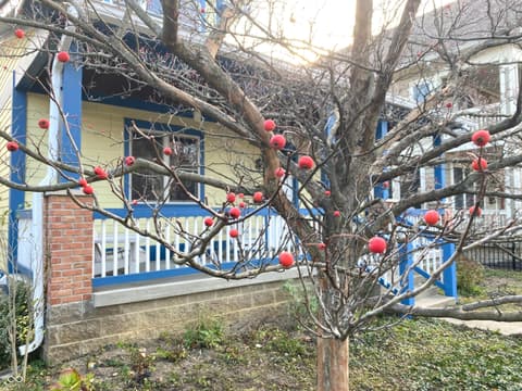 Photo of 2307 N Alabama Street, Indianapolis, IN