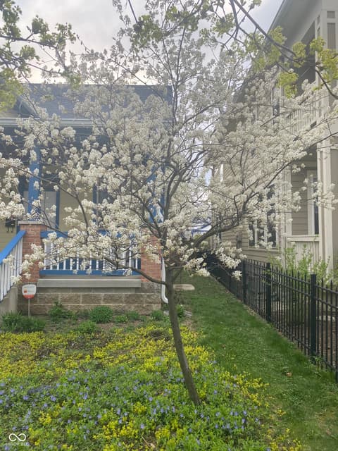 Photo of 2307 N Alabama Street, Indianapolis, IN