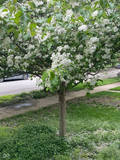 Photo of 2307 N Alabama Street, Indianapolis, IN