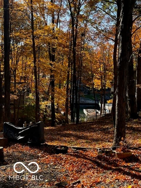 View — 6427 Buffalo Drive, Nineveh, IN