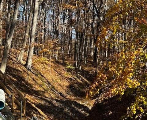View — 6427 Buffalo Drive, Nineveh, IN
