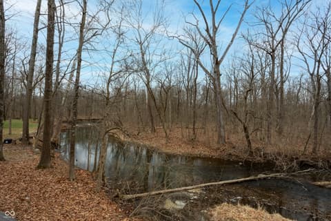 View — 4548 Chase Oak Court, Zionsville, IN