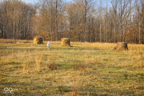 Photo of 3375 W County Road 850 S, Commiskey, IN