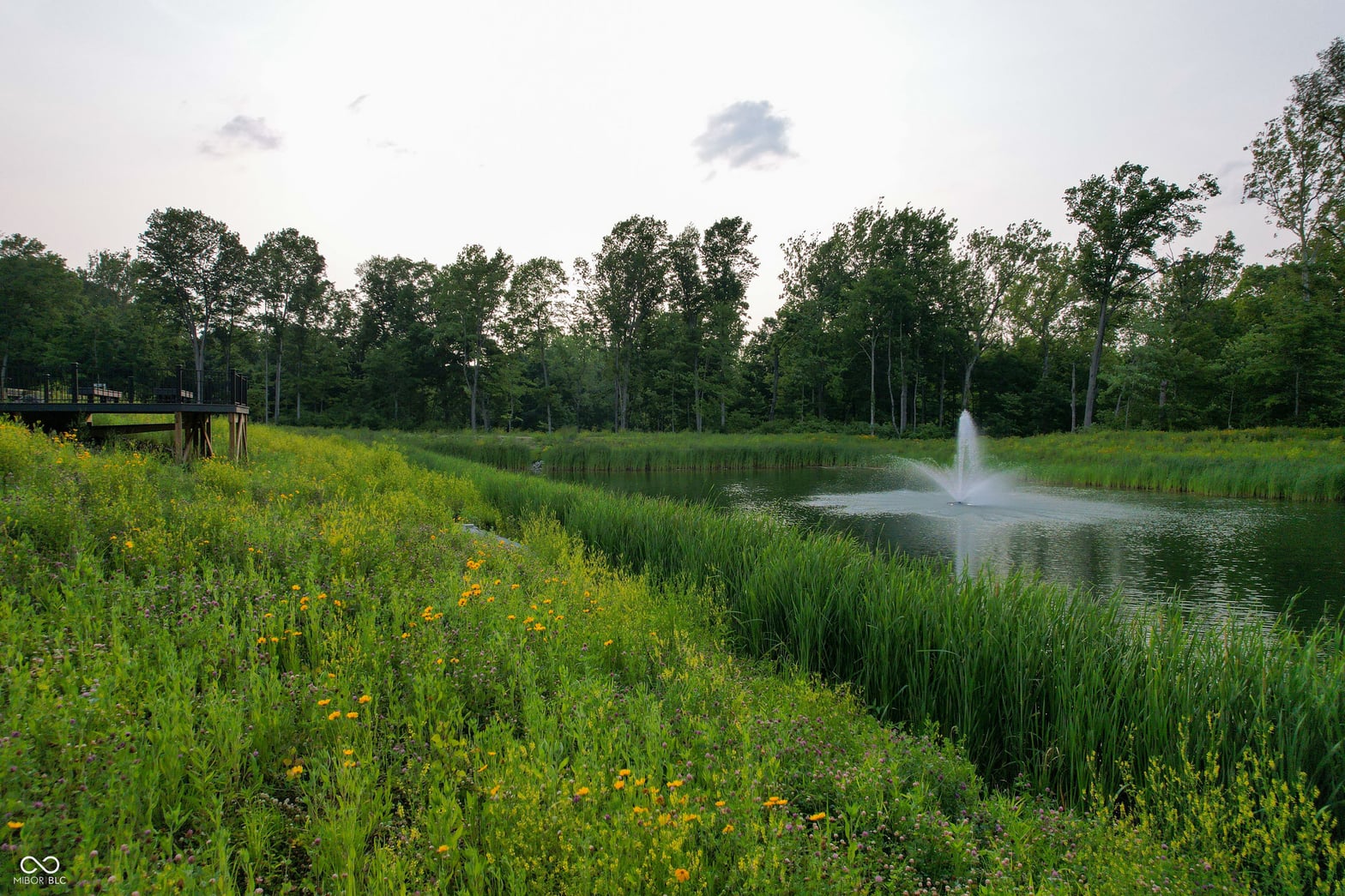 Pond