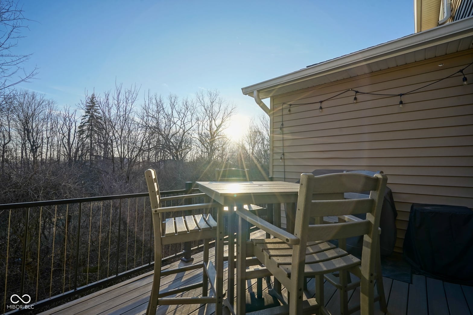 Elevated deck with scenic wooded views and modern railings.