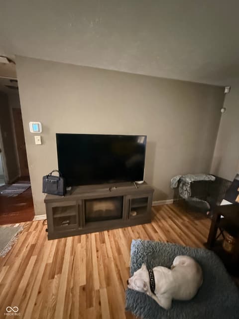 Living room at 2244 N Bolton Avenue, Indianapolis, IN