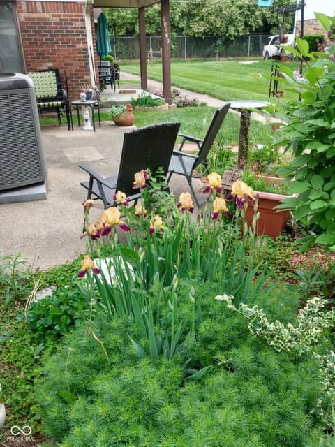 Garden — 10173 Penrith Drive, Indianapolis, IN