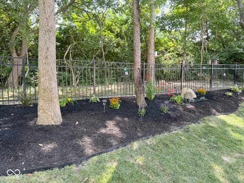 Yard at 593 Coronado Place, Greenwood, IN