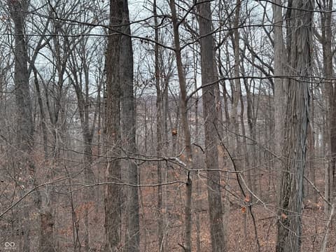 Photo of 6155 Private Road 1125 N, Poland, IN