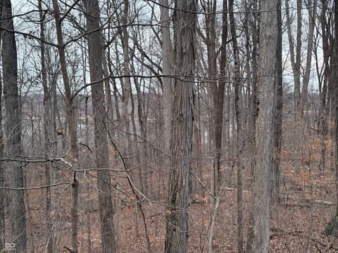 Photo of 6155 Private Road 1125 N, Poland, IN
