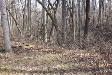 Yard at 4823 State Road 45, Nashville, IN