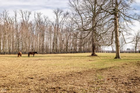 Yard at 5158 N 1000 W, Thorntown, IN