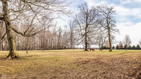 Yard at 5158 N 1000 W, Thorntown, IN