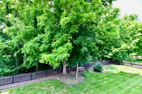 Yard at 653 Featherstone Drive, Westfield, IN