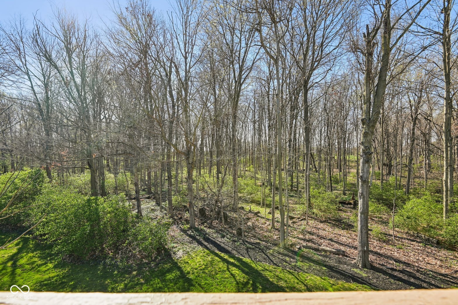 View