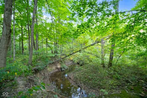 Yard at 13562 Creekridge Lane, Fishers, IN — Private wooded property with scenic creek access.