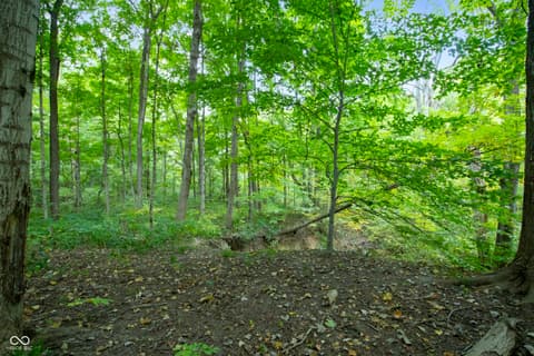 Yard at 13562 Creekridge Lane, Fishers, IN — Secluded wooded property with mature established trees.