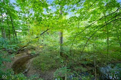 Yard at 13562 Creekridge Lane, Fishers, IN — Private wooded property with flowing creek and mature trees.