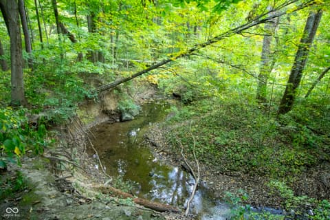 Yard at 13562 Creekridge Lane, Fishers, IN — Serene wooded property with creek and mature trees.
