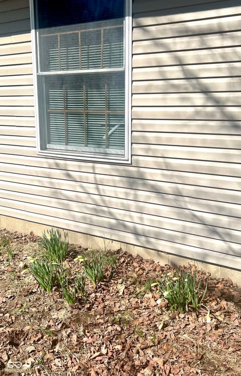 Side exterior at 2976 W Rose Hill Lane, Rosedale, IN
