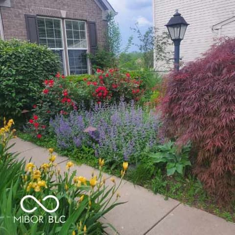 Yard at 6051 Copeland Mills Court, Indianapolis, IN