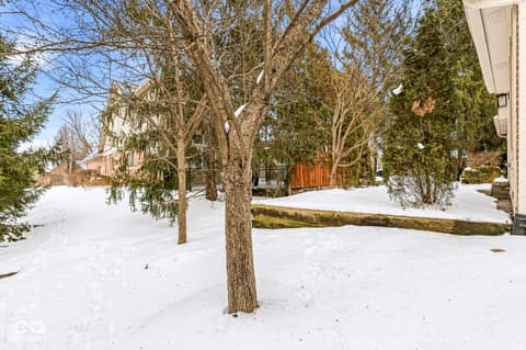 Backyard at 10380 Spring Highland Drive, Indianapolis, IN — Spacious wooded backyard with mature trees and fencing.